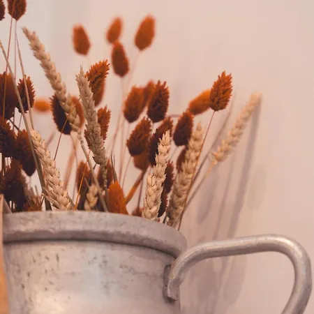 Daire Le Pop Art- Petit Nid Douillet Tours