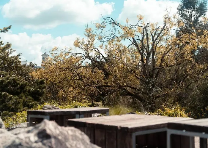 Petit Nid Douillet Appartement *