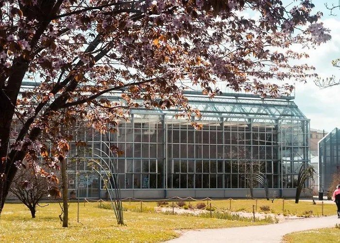 Appartement Petit Nid Douillet Tours