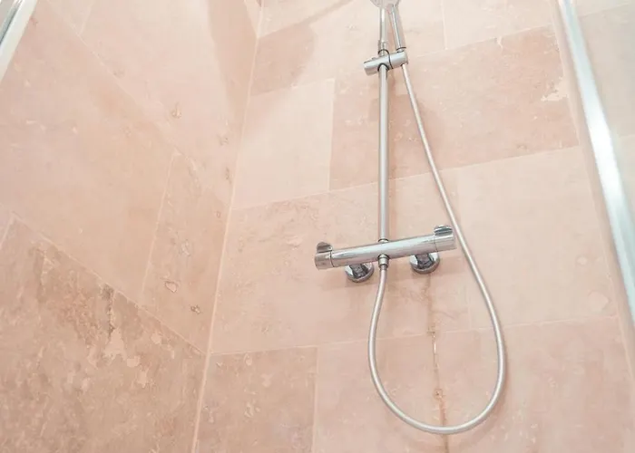 Appartement Petit Nid Douillet *