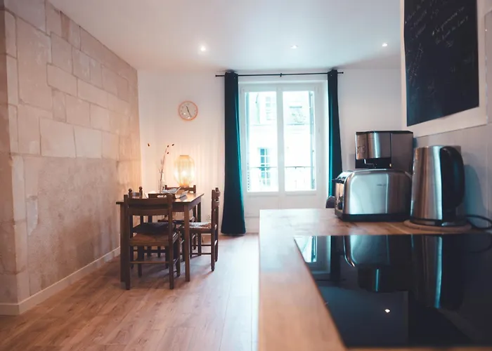 Appartement Petit Nid Douillet Tours