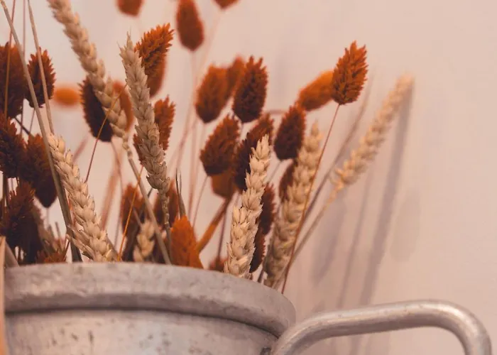 Апартаменты Le Pop Art- Petit Nid Douillet Тур